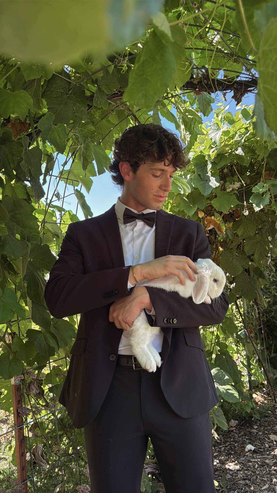 Groom in a bow tie holding a white rabbit beneath a grapevine arbor.